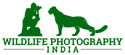 Wildlife Photography India