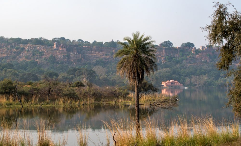 lake at Ranthambhore