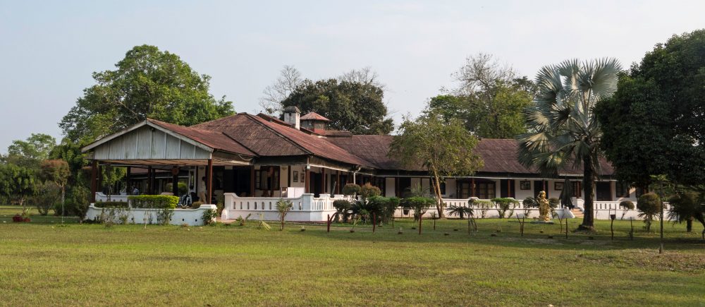 Banyan Grove, Jorhat