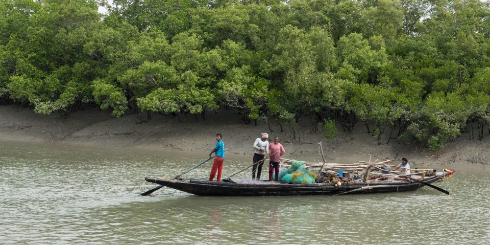 Sundarban fishing boat