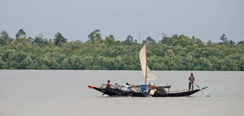 Sundarban Fishing boat