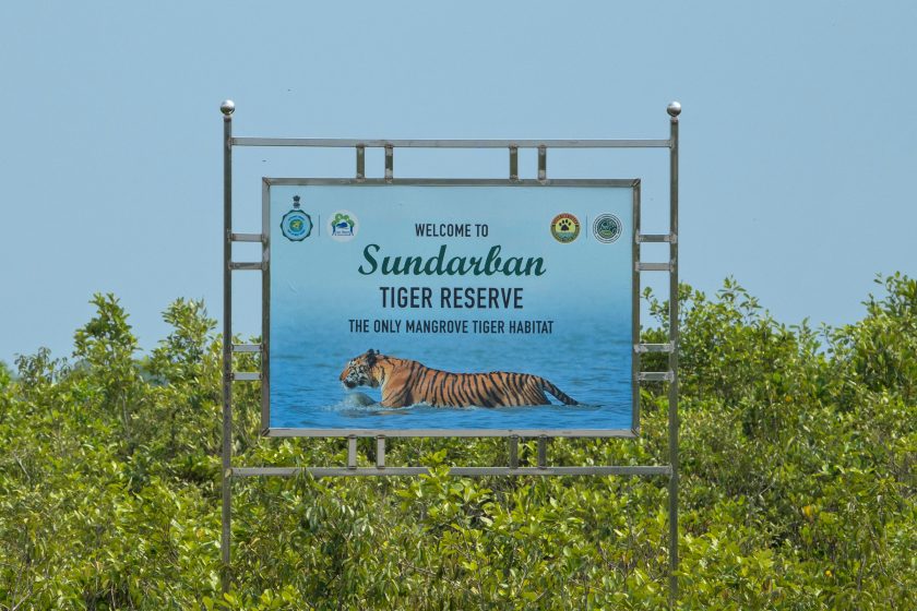 Sundarbans